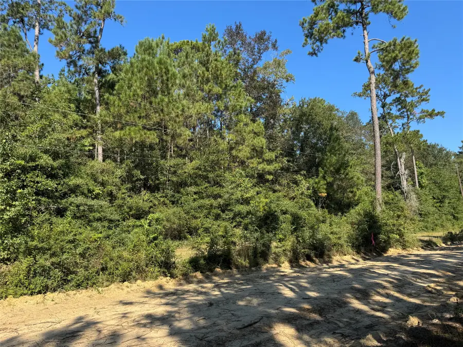 3072 & 3075 Cr, Kirbyville, TX 75956 - #3