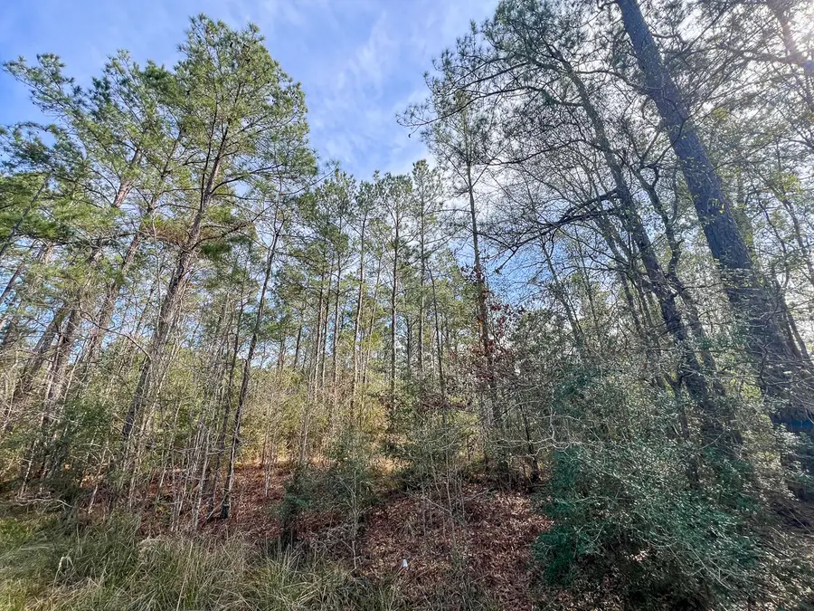 T-3 Zavalla Road, Mauriceville, TX 77626 - #3