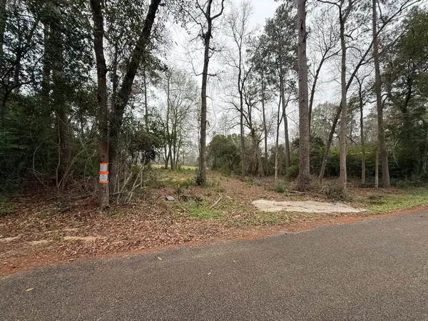 TBD Skylane Dr, Montgomery, TX 77356