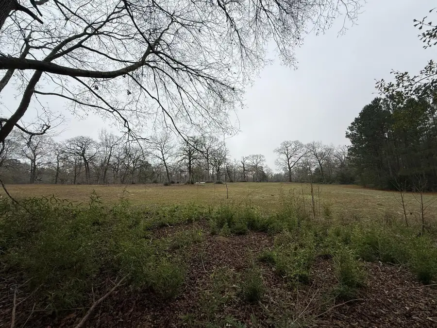 TBD Skylane Dr, Montgomery, TX 77356 - Image #3