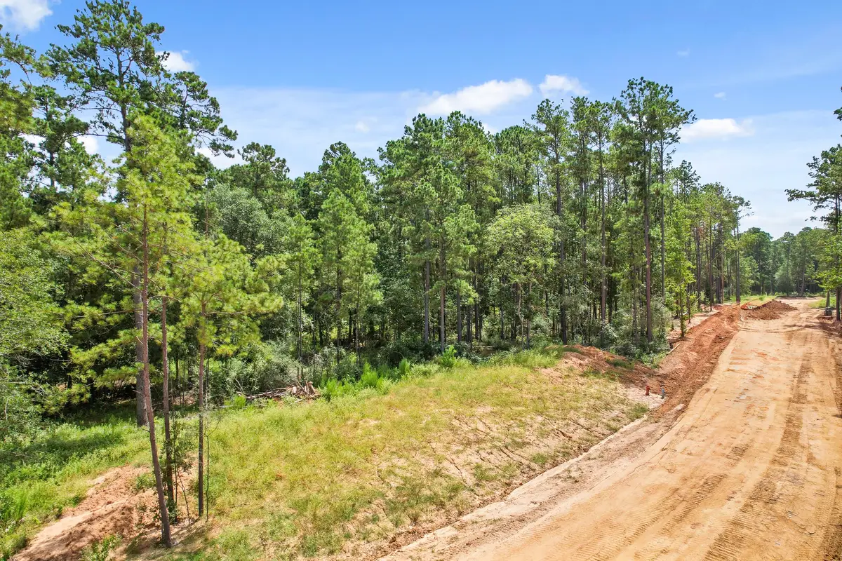 3937 Augusta Drive, Montgomery, TX 77316 - #1