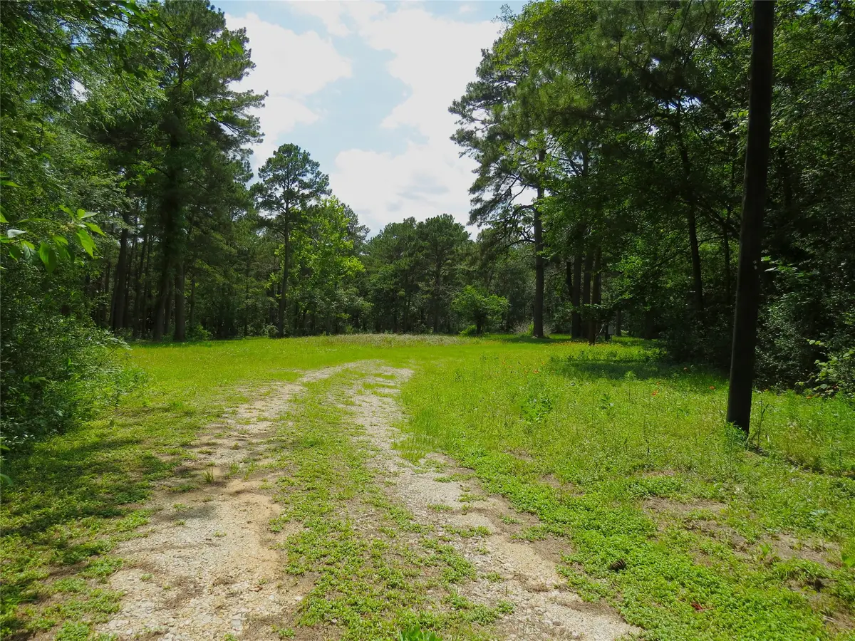 4542 Evergreen Forest Lane, Navasota, TX 77868 - #1