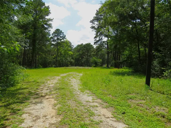4542 Evergreen Forest Lane, Navasota, TX 77868