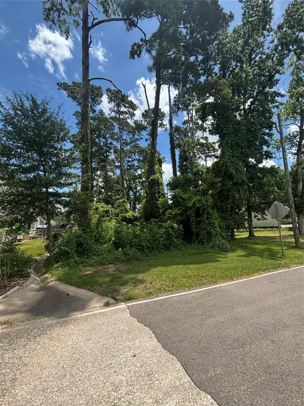 8 Cole Brook Lane, Conroe, TX 77304