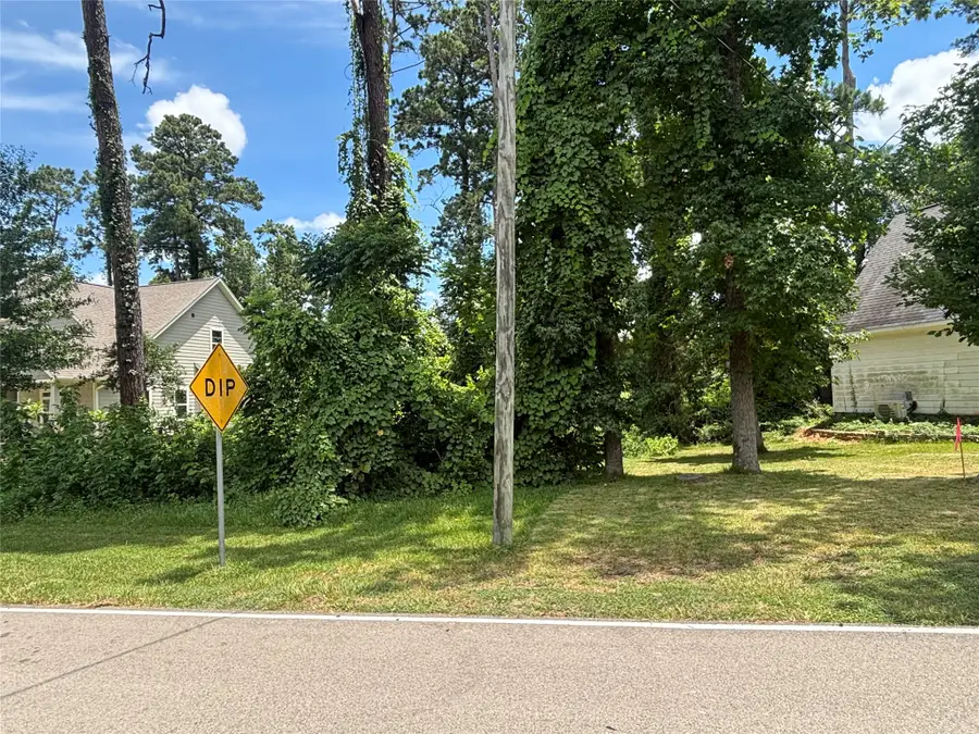 8 Cole Brook Lane, Conroe, TX 77304 - #2