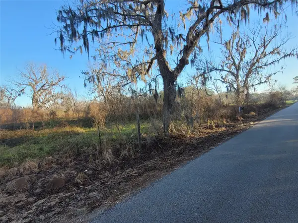 0 County Road 13, Damon, TX 77430