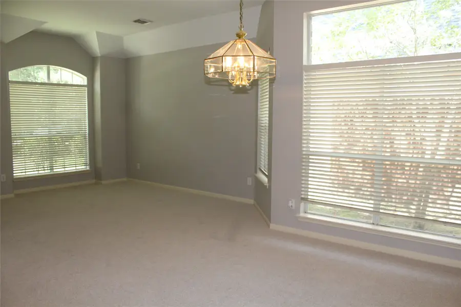 43 S Lace Arbor Drive, The Woodlands, TX 77382 - #3