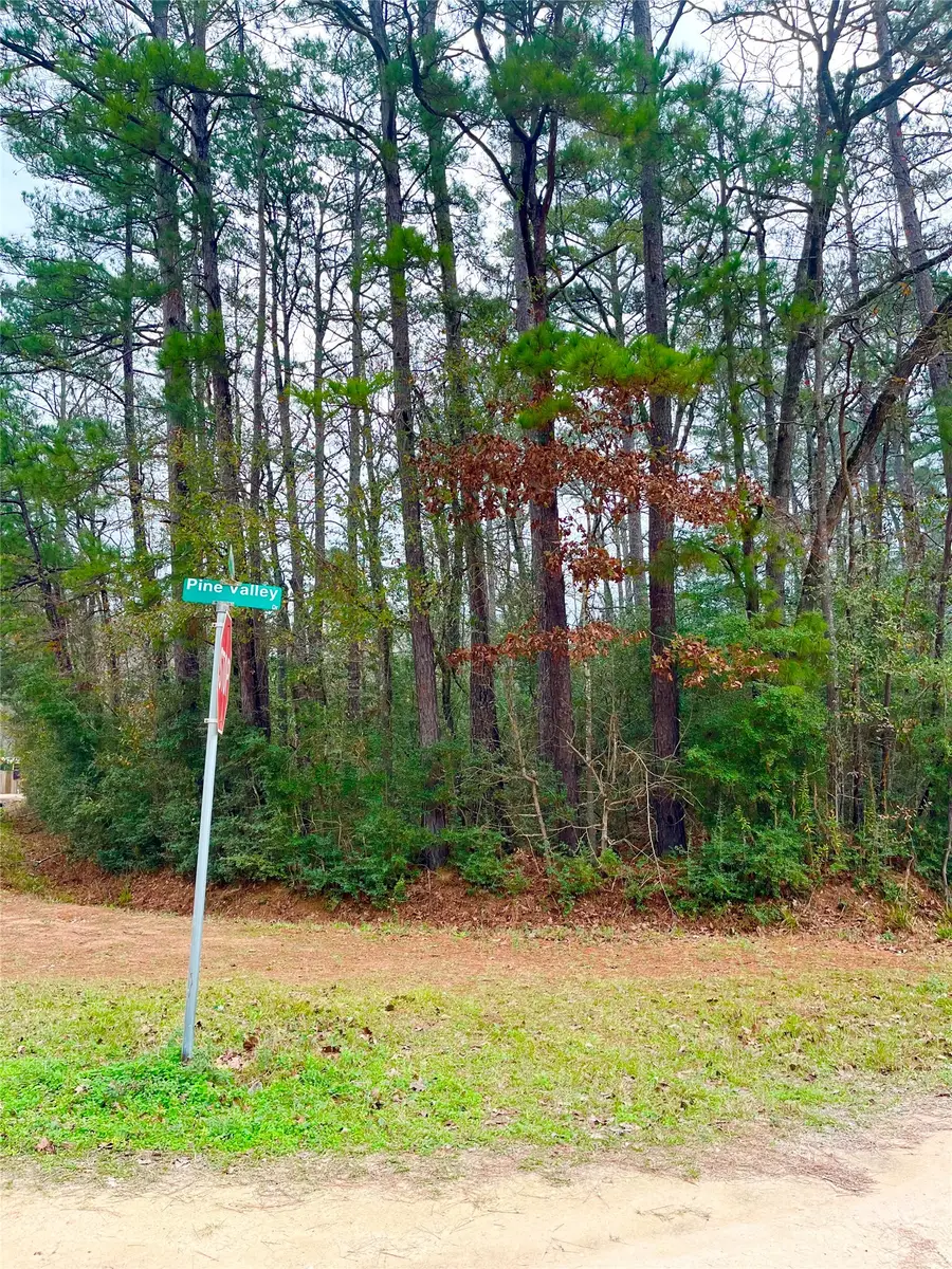 TBD Pine Valley Drive, Shepherd, TX 77371 - #2