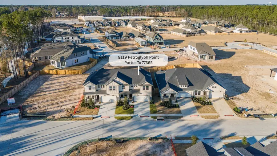 9119 Petroglyph Point Court, Porter, TX 77365 - #3