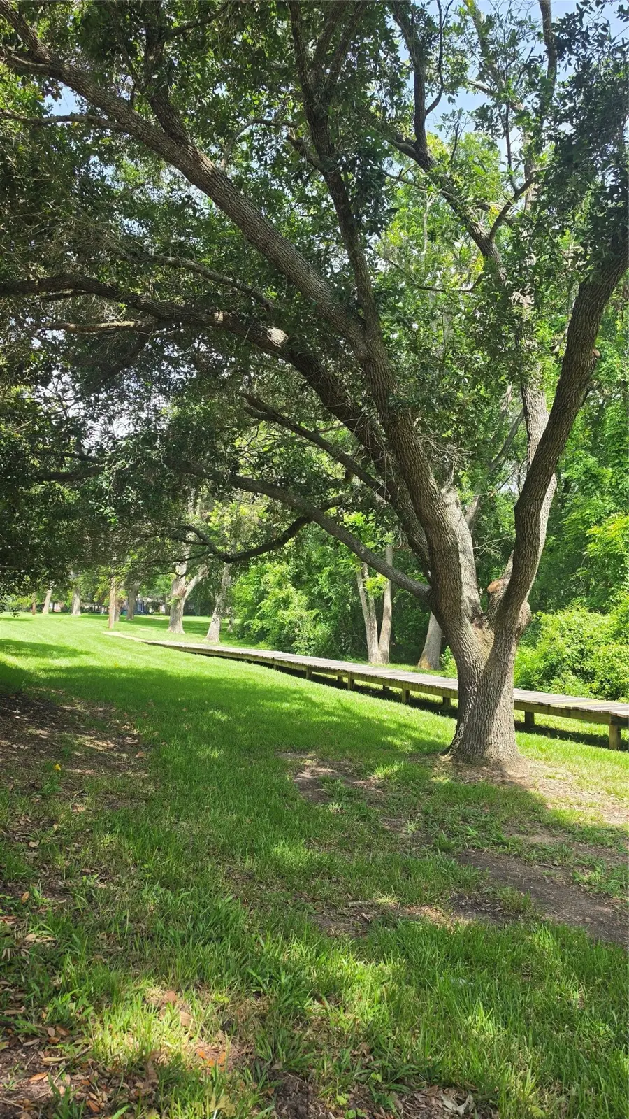 4519 Castlewood Street, Sugar Land, TX 77479 - #3