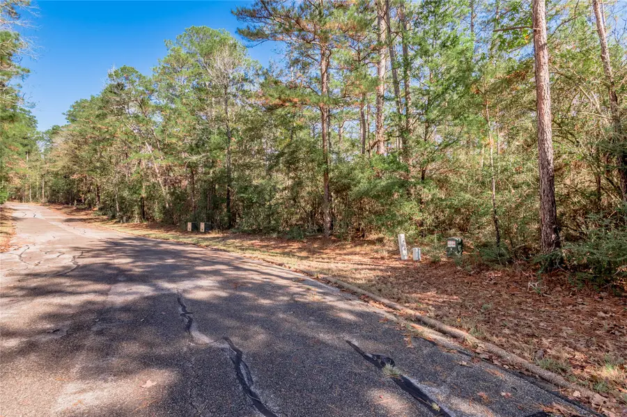 TBD Queenswood Drive, Huntsville, TX 77320 - Image #3