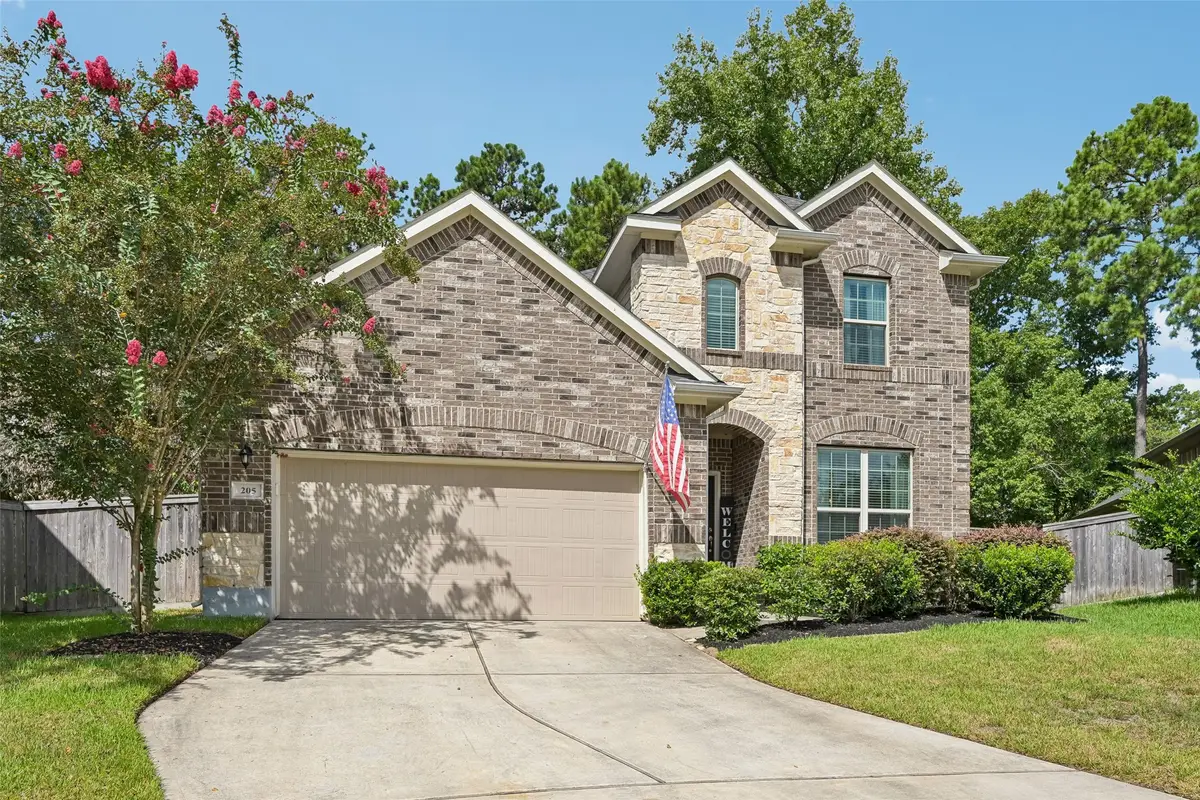 205 Elianne Lace Court, Willis, TX 77318 - #1