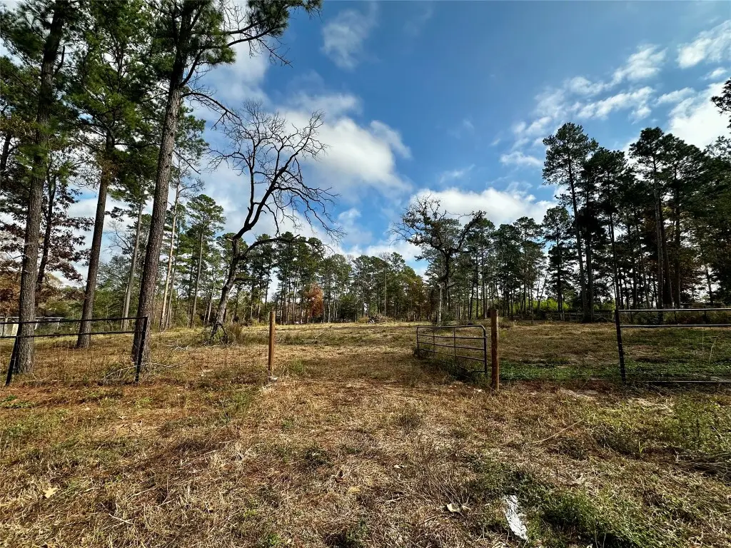 15238 Crape Myrtle Lane, Navasota, TX 77868 - #1