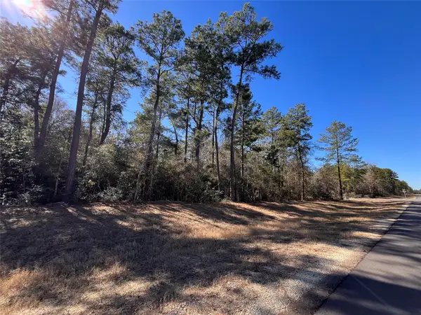 86 Coyote Run, Willis, TX 77378