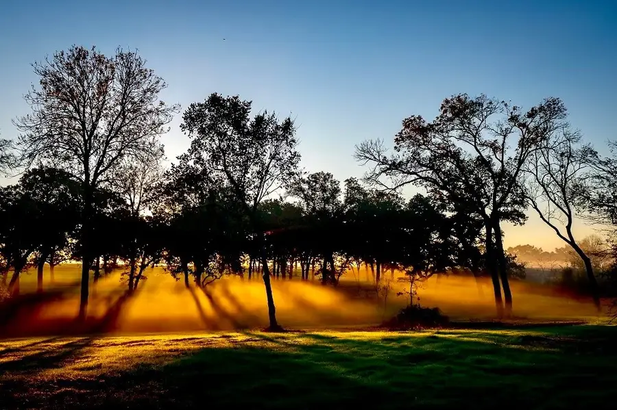8321 Equestrian Lane, Washington, TX 77880 - #3