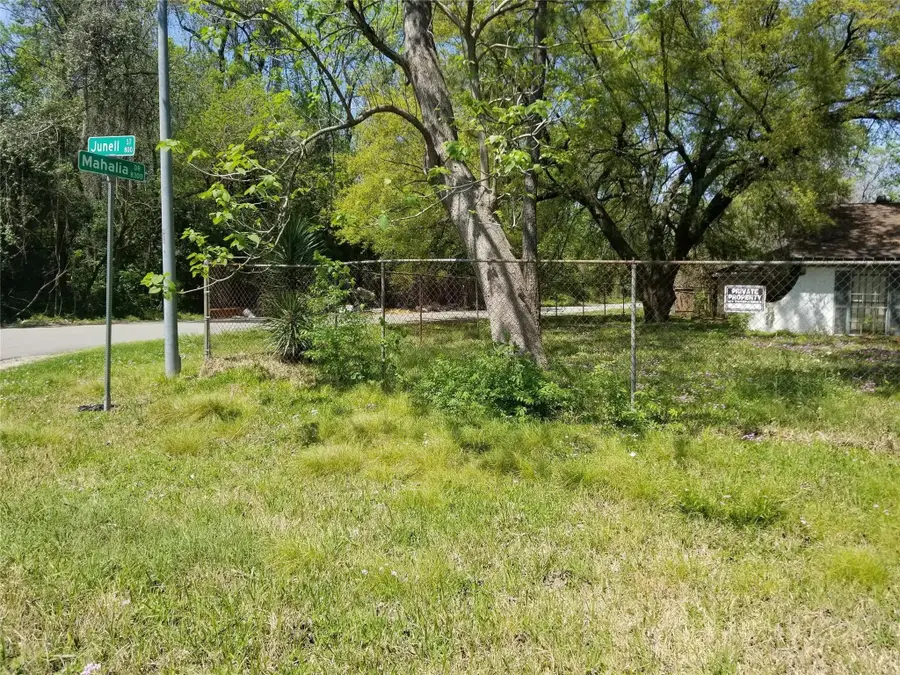 854 Junell Street, Houston, TX 77088 - Image #3