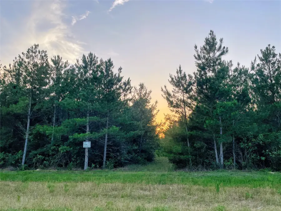 15705 Ridge Rock Road, Willis, TX 77378 - #3