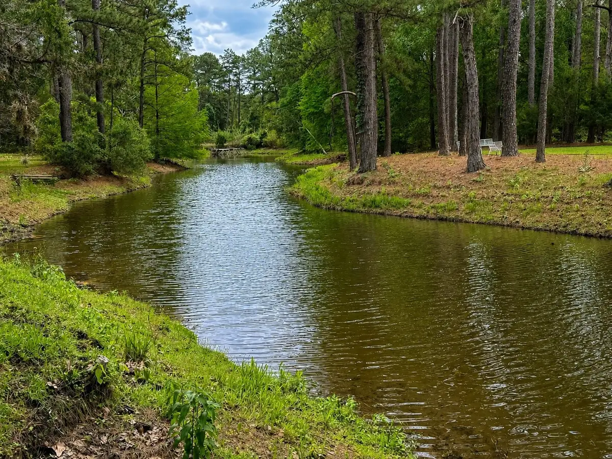 1539 Weishuhn Road, New Ulm, TX 78950 - #1
