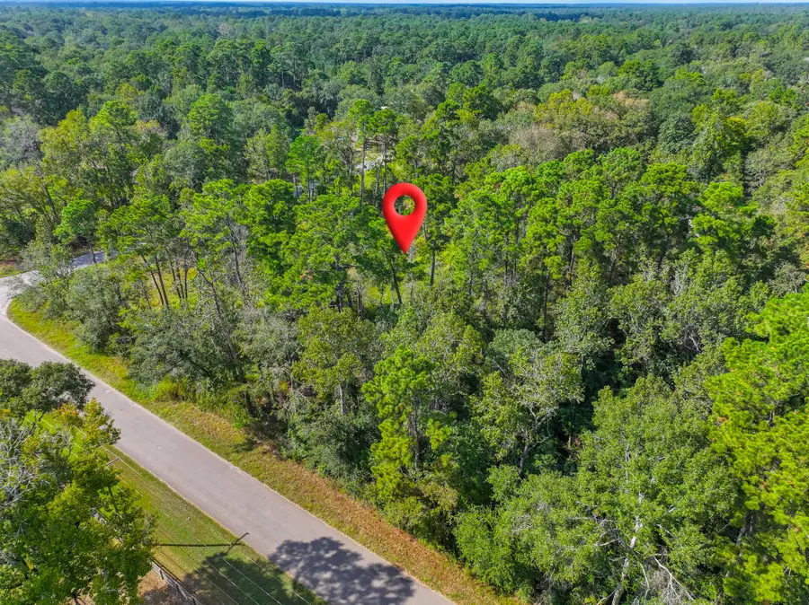 11855 Magnolia Bend Dr, Conroe, TX 77302 - #2