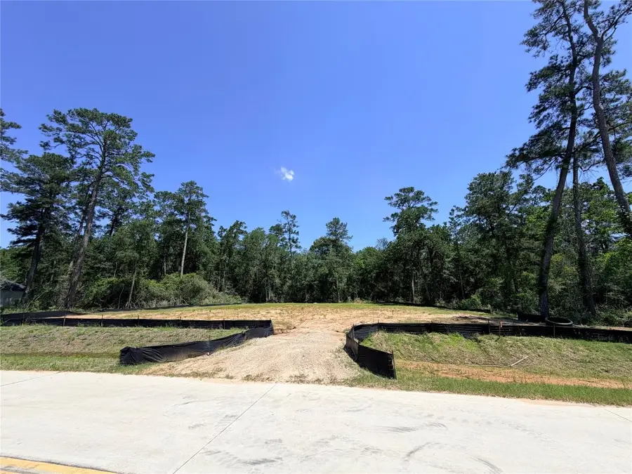 352 Louvenia Court, Pinehurst, TX 77362 - #2