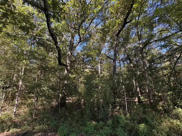 25595 Fm 787, , TX 77374