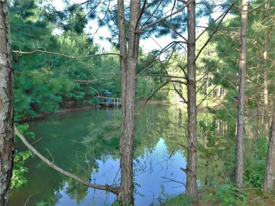 11914 Browder Traylor Road, Conroe, TX 77303 - #2