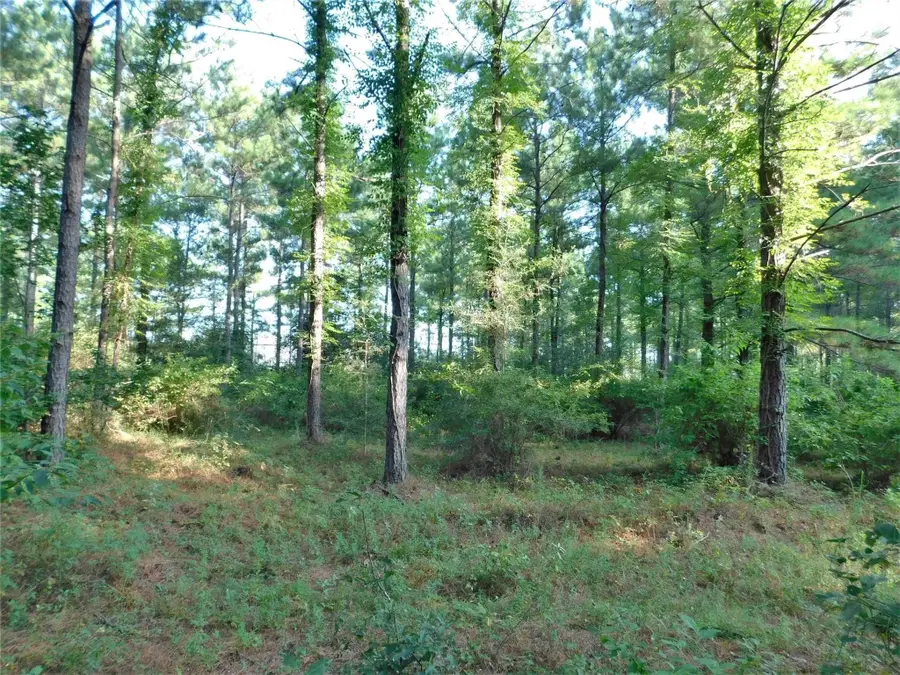 11914 Browder Traylor Road, Conroe, TX 77303 - #3