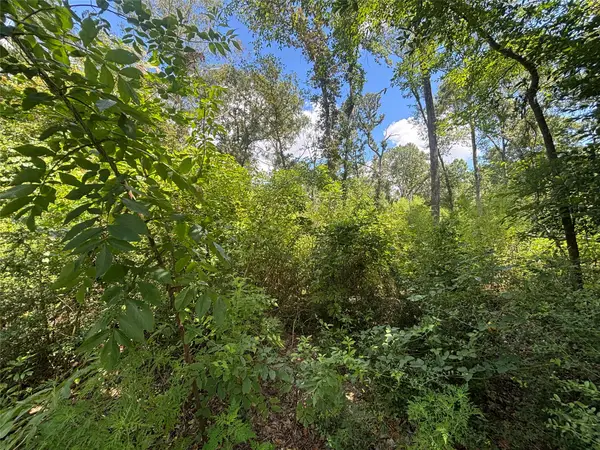 26059 E Christine Drive, Splendora, TX 77372