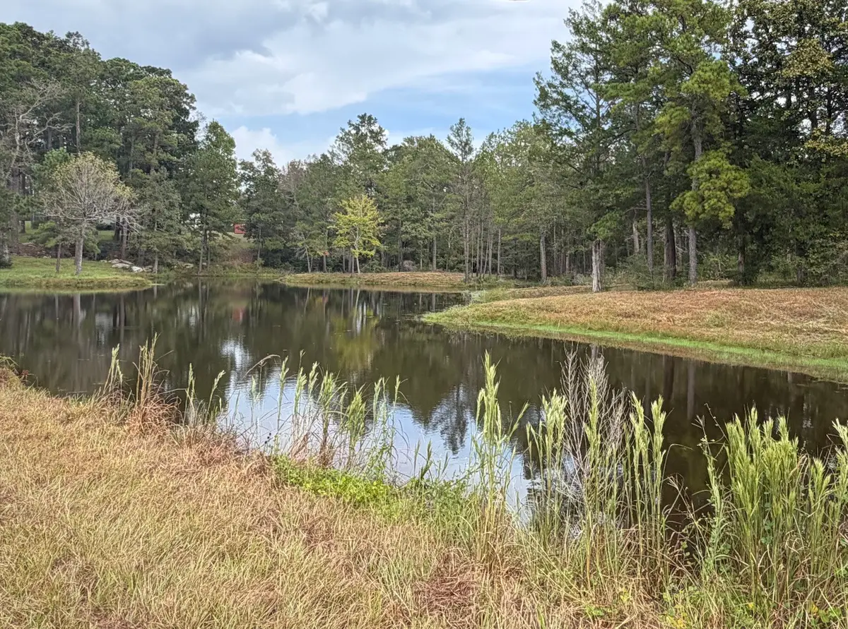 1723 Adams Cemetery Road, Moscow, TX 77351 - #1