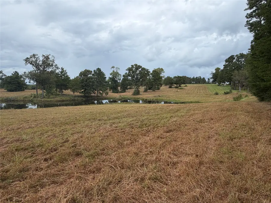 1723 Adams Cemetery Road, Moscow, TX 77351 - #3