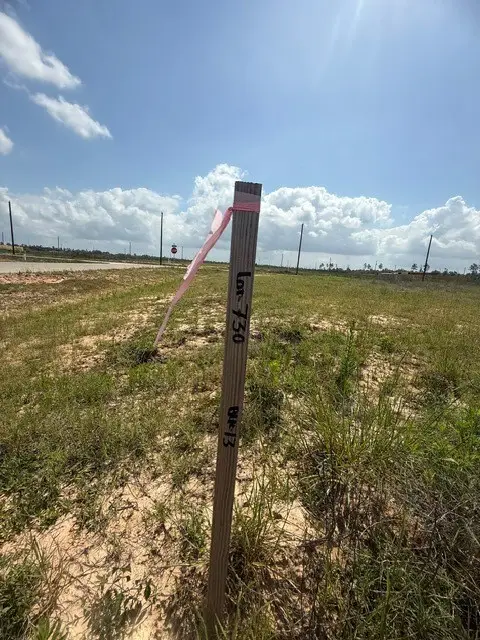 1398 ROAD 591506, Cleveland, TX 77327 - #3