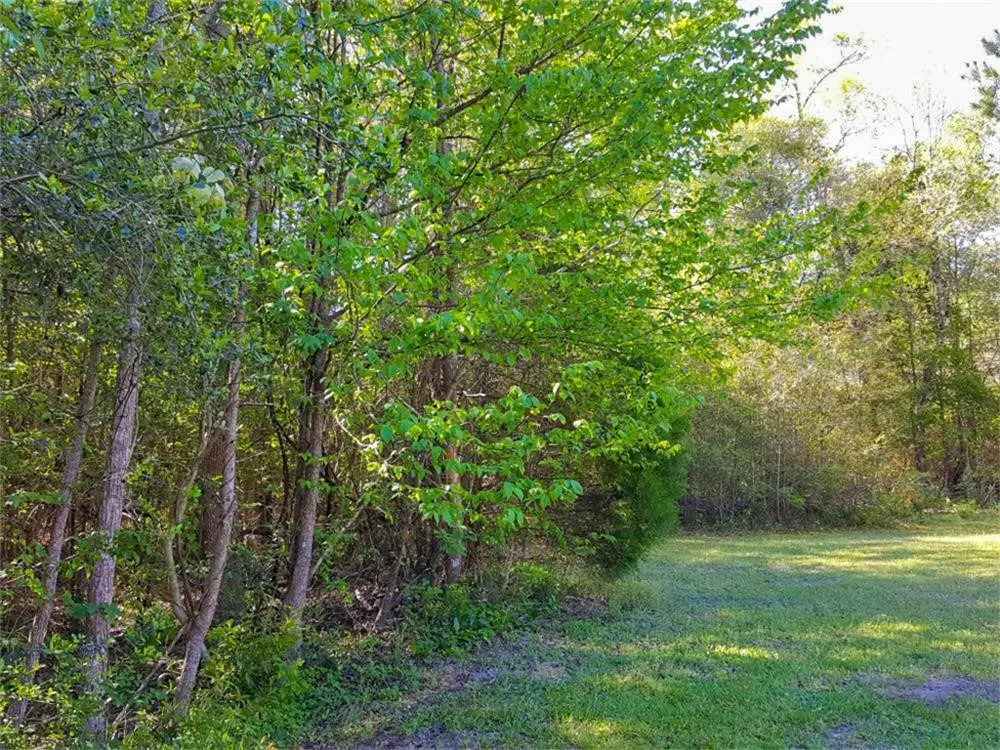 TBD Borger, Livingston, TX 77351 - #1