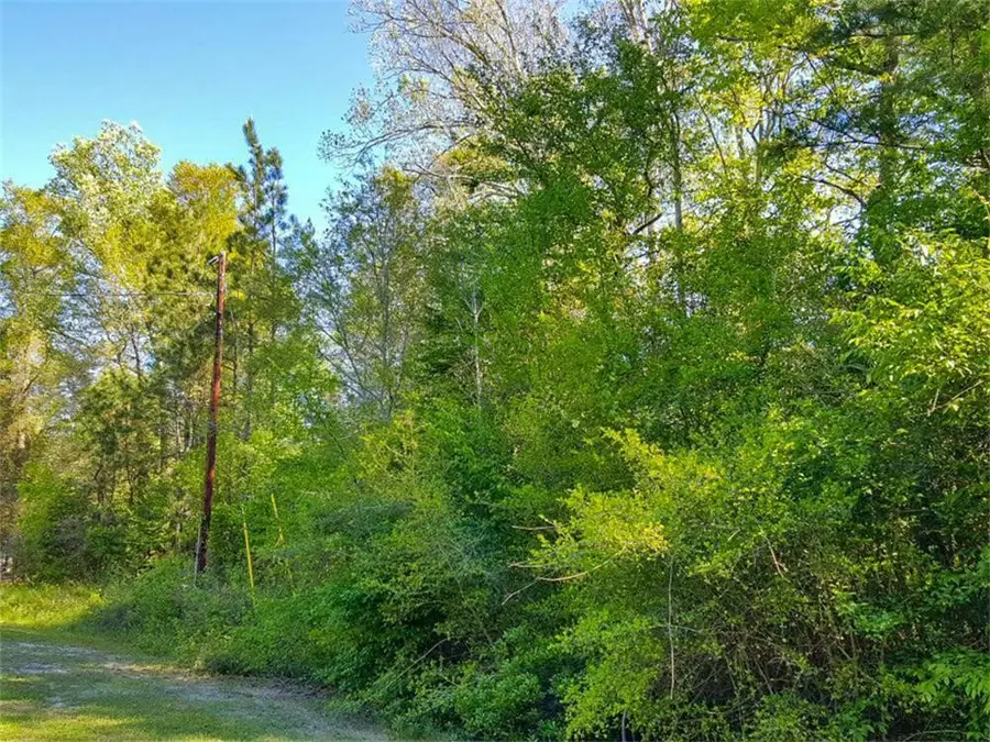 TBD Borger, Livingston, TX 77351 - #2