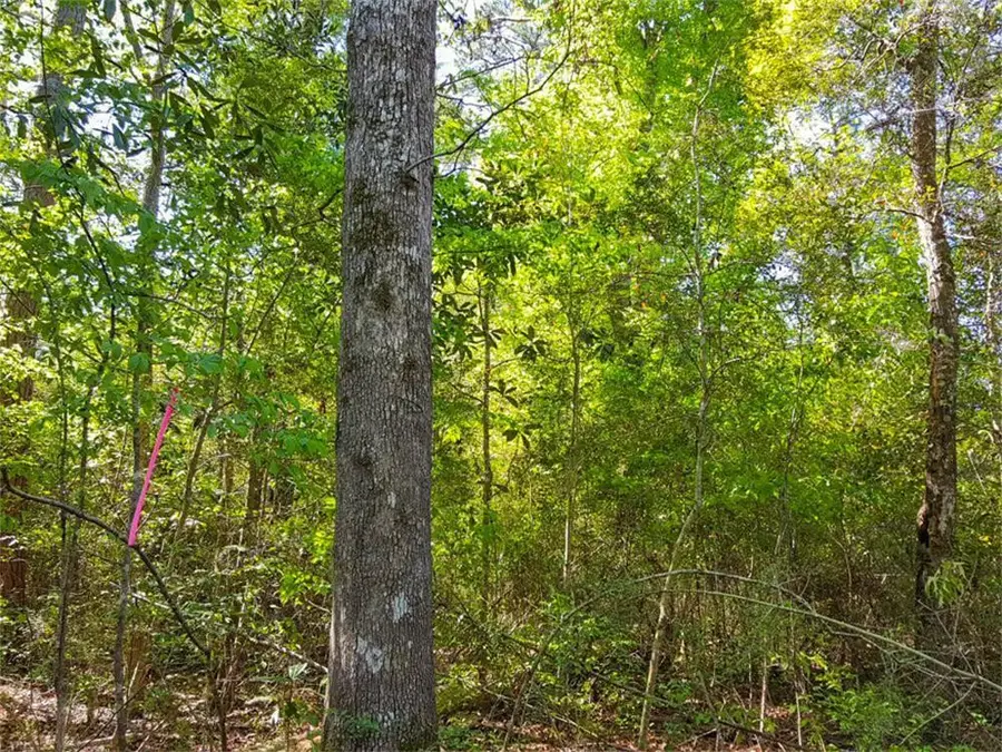 TBD Borger, Livingston, TX 77351 - #3