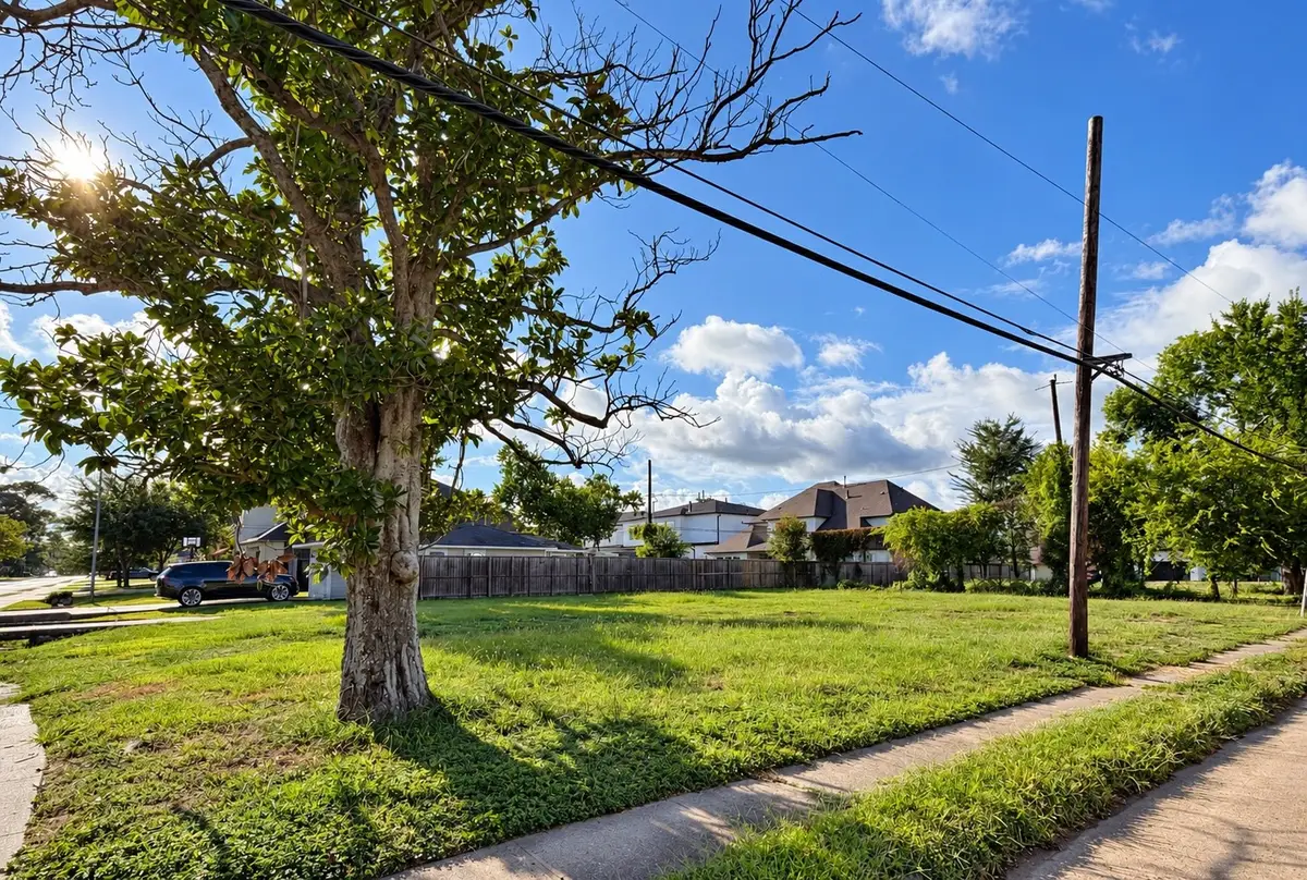 6629 Schiller Street, Houston, TX 77055 - #1