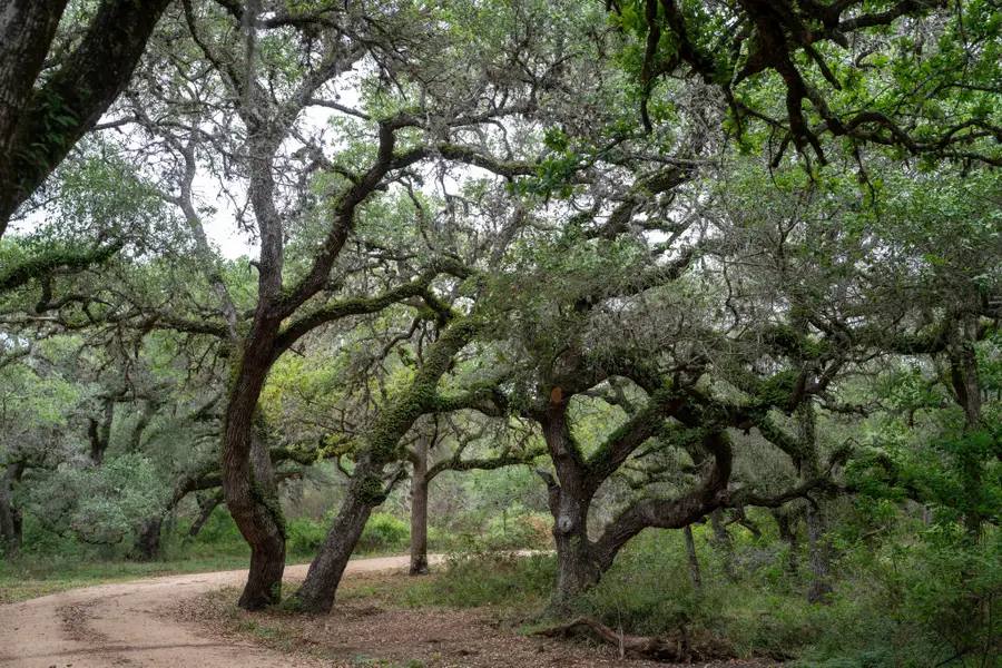 0 County Road 19, Hallettsville, TX 77964 - #3