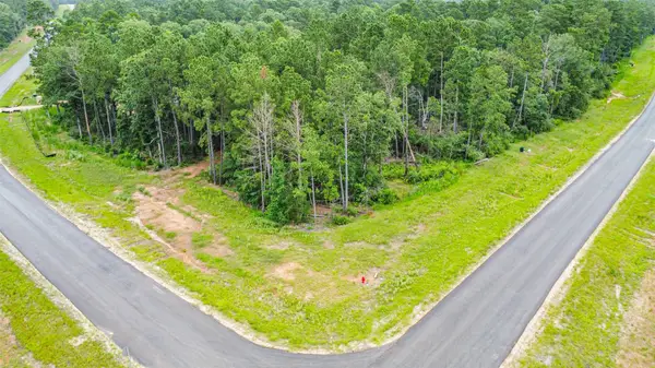 15945 Four Hills Road, Willis, TX 77378