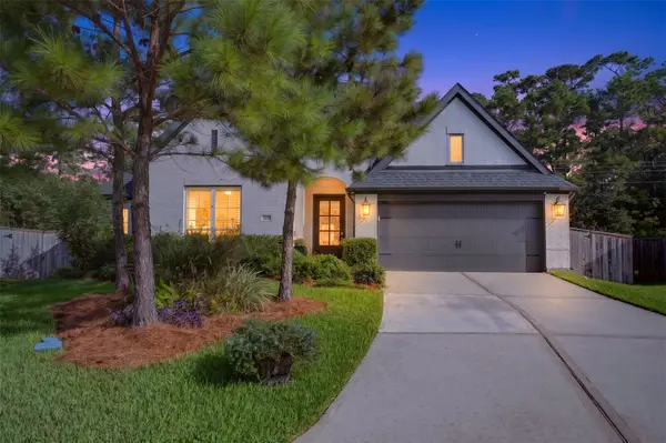 313 Lane Landing Place, Montgomery, TX 77316