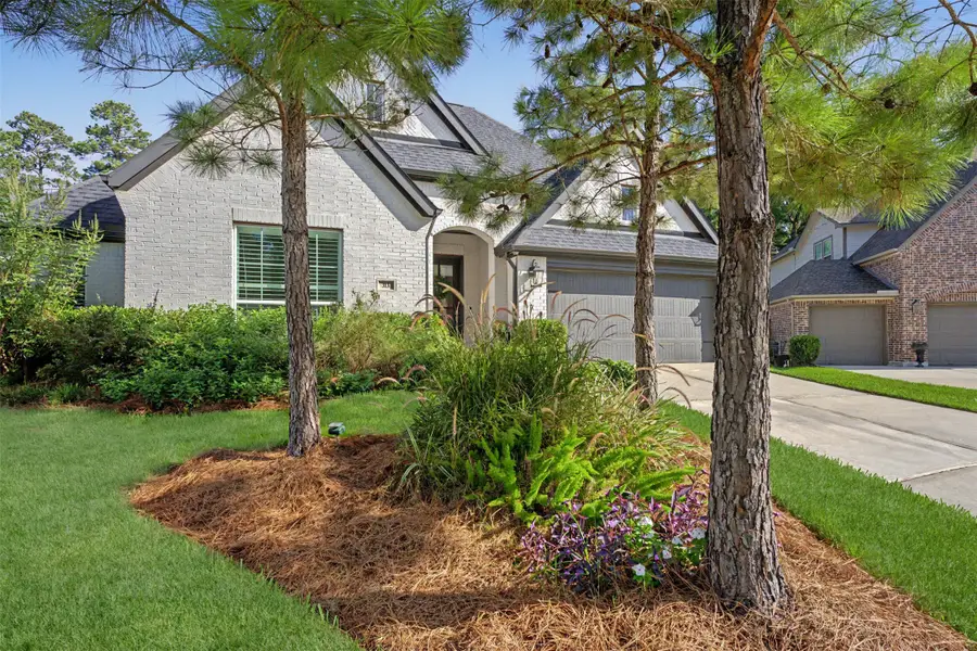 313 Lane Landing Place, Montgomery, TX 77316 - #2