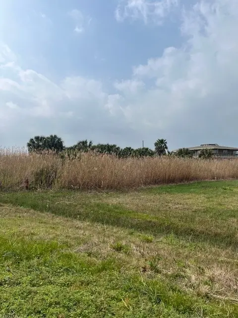 33 Lot 33 Palm Beach, Galveston, TX 77554