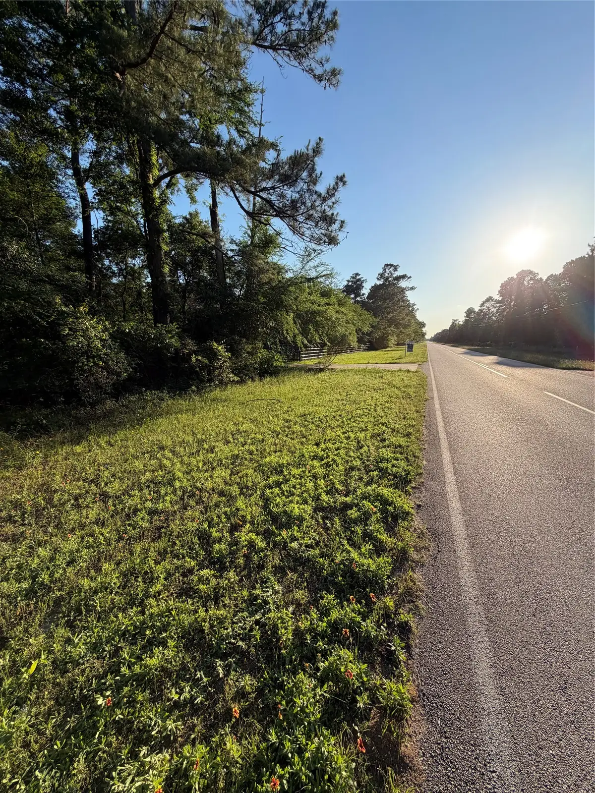 0 Reids Prairie Road, Waller, TX 77484 - #1