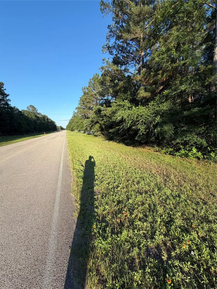 0 Reids Prairie Road, Waller, TX 77484 - #2