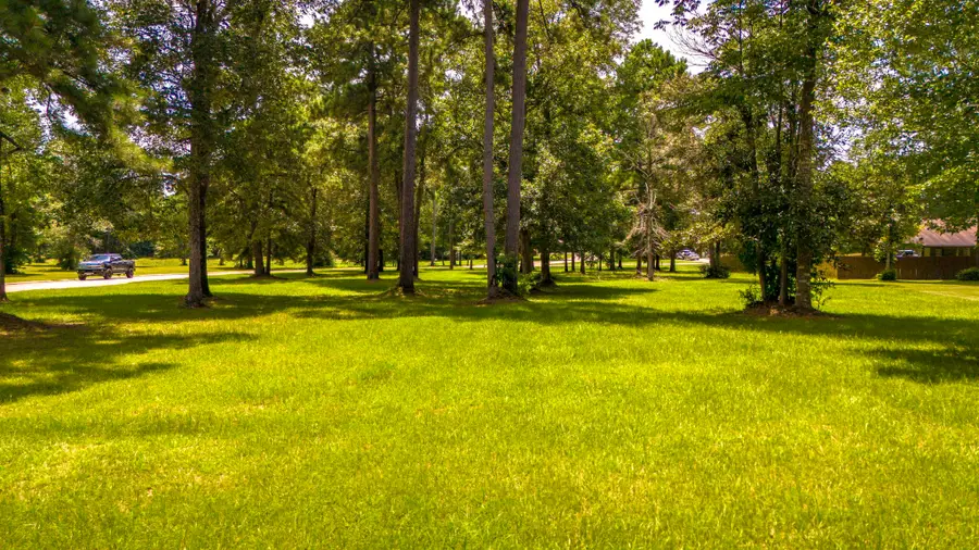 TBD Somer Glen Drive, Livingston, TX 77351 - #3