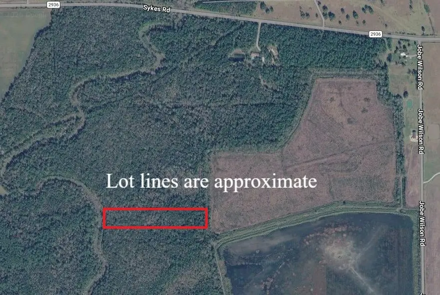 0 Jobe Wilson Road, Anahuac, TX 77514 - #2