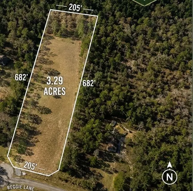 278 Reggie Lane, Trinity, TX 75862 - #1