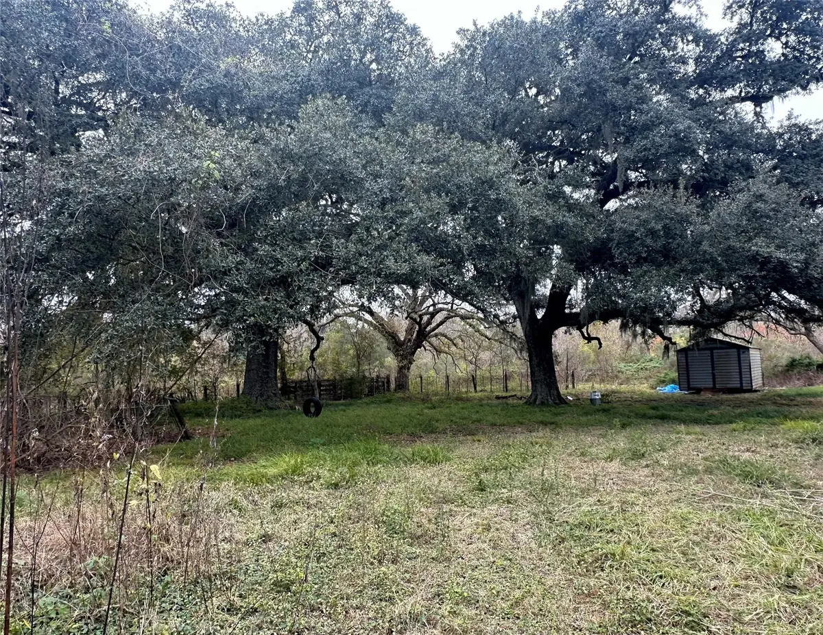 2941 County Road 352, Brazoria, TX 77422 - #1