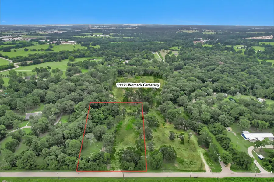 2.62 Acres Womack Cemetery Road, Montgomery, TX 77316 - #2