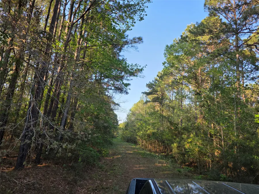 TBD Pacel# 130757 Hwy 190, Pointblank, TX 77364 - #2