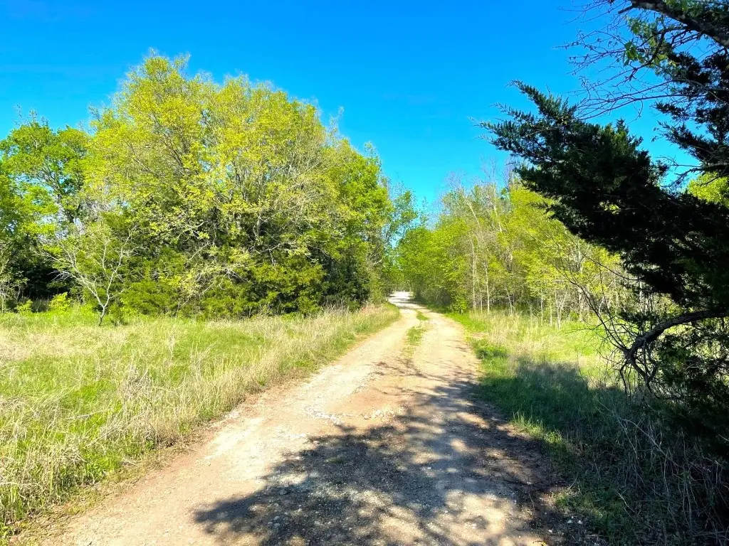 Lot 16 Hill County Road 3352, Hubbard, TX 76648 - #1