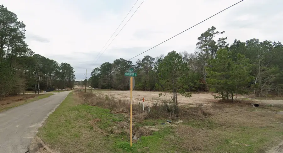 19131 Serpenteer Drive, Porter, TX 77365 - #3
